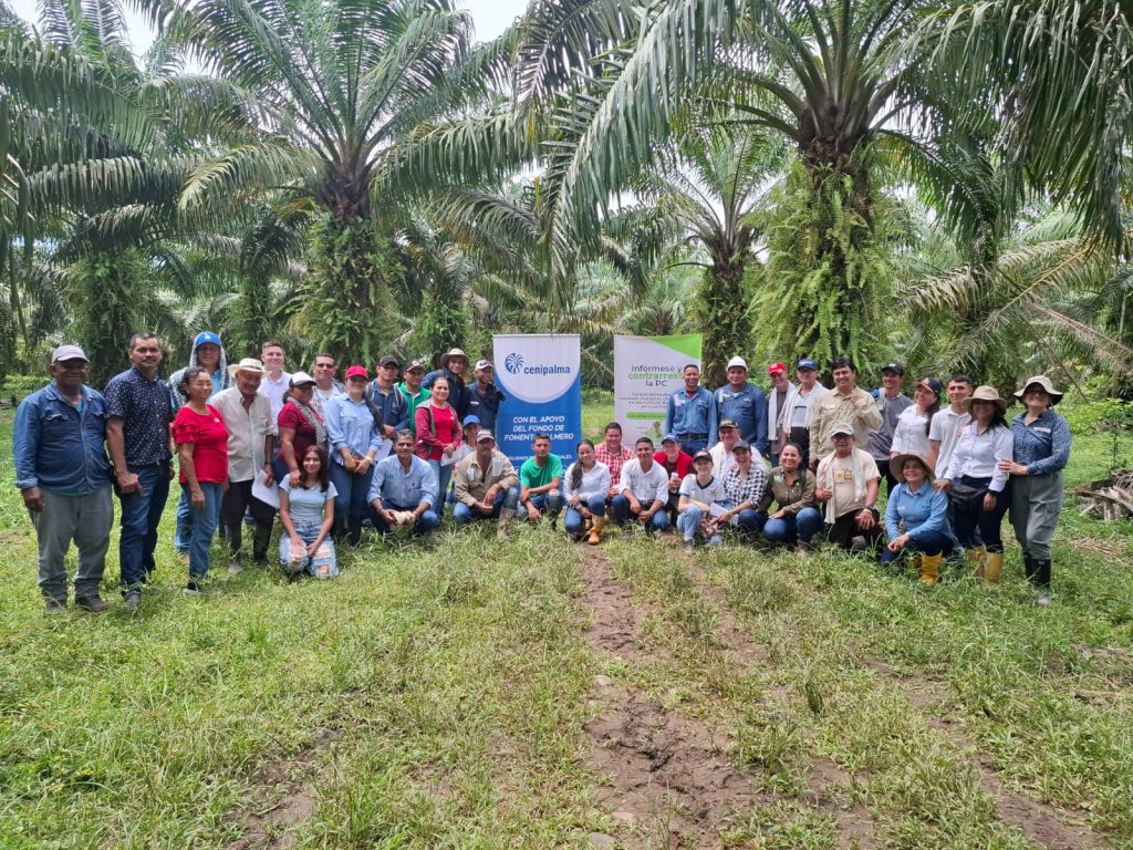 Más de 50 participantes del Núcleo Palmero se dieron cita en la vereda Candelia y en el corregimiento de San Rafael para vivir una nueva jornada de aprendizaje liderada por la Unidad de Servicio al Palmicultor (USP), centrada en uno de los principales retos fitosanitarios del cultivo: la Pudrición de Cogollo (PC).